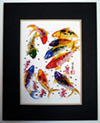 picture of nine colorful koi fish
