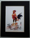 picture of a rooster