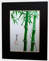 picture of green bamboo