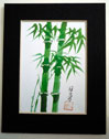 picture of green bamboo
