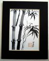 picture of black bamboo